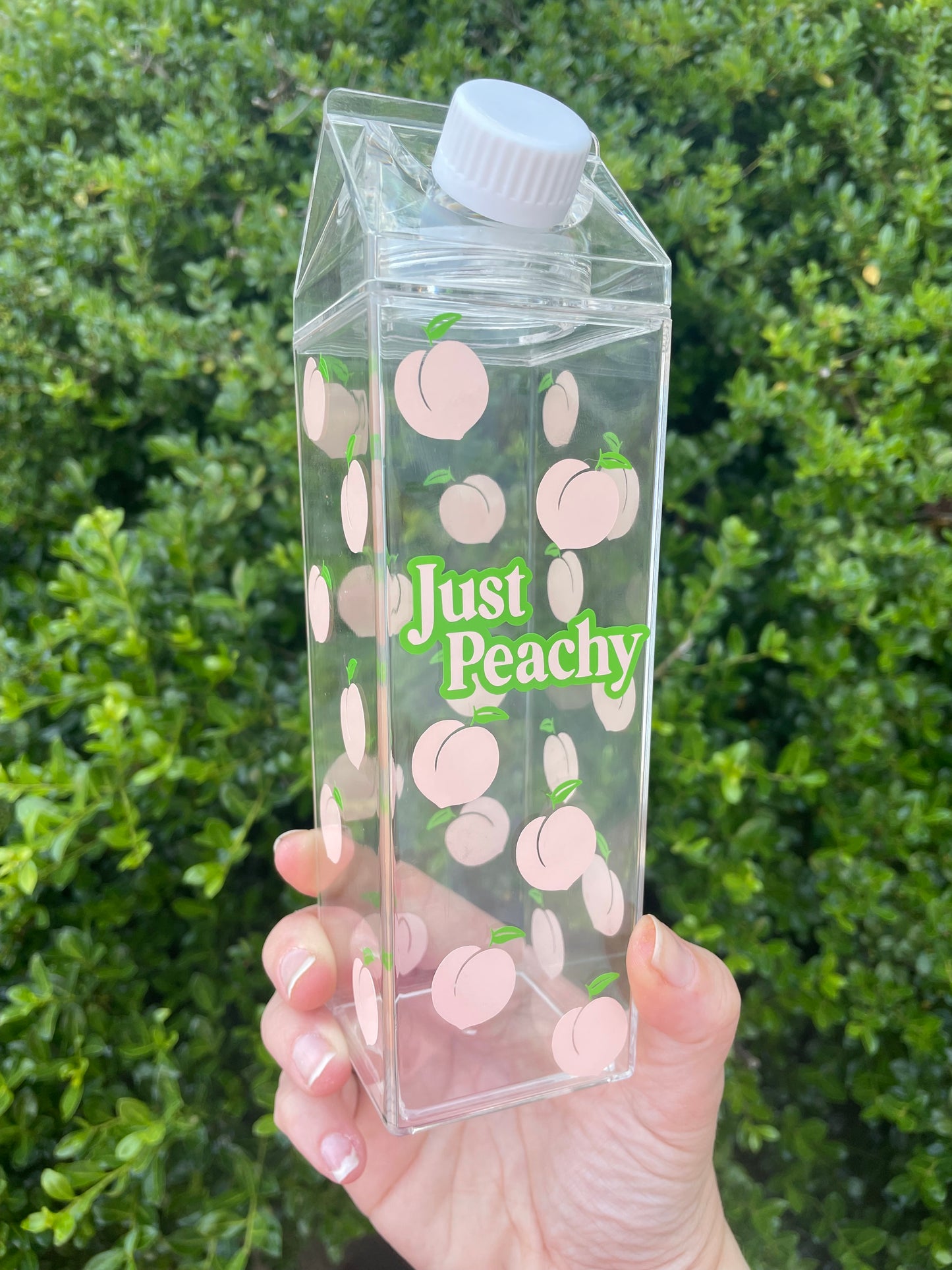 Just Peachy Milk Carton Water Bottle